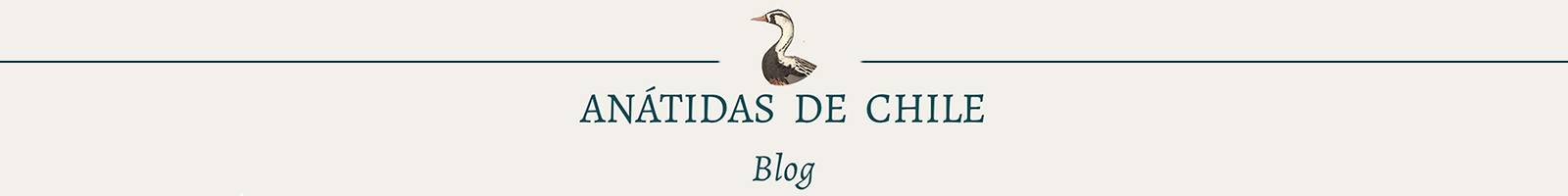 Anatidas de Chile